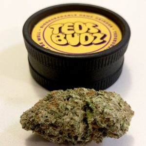 teds buds