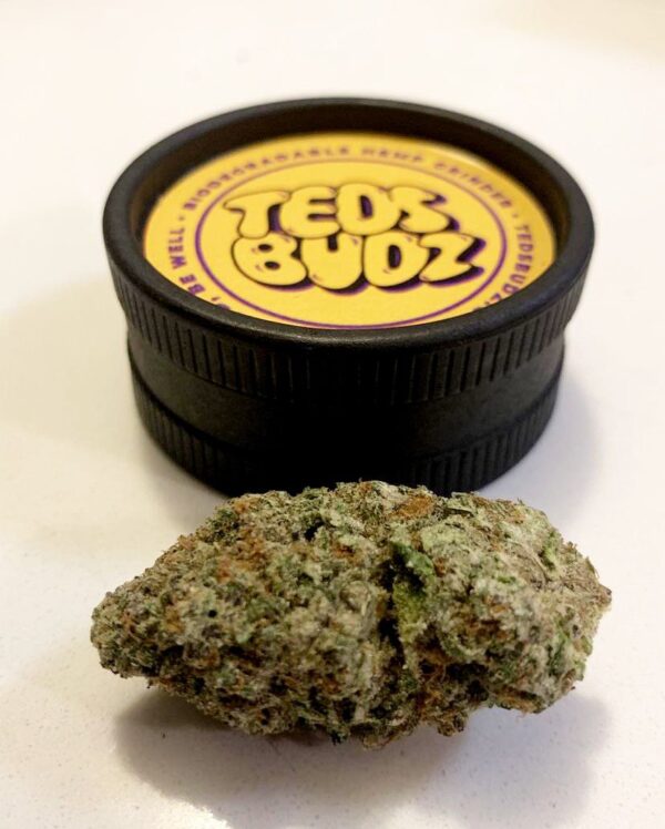 teds buds