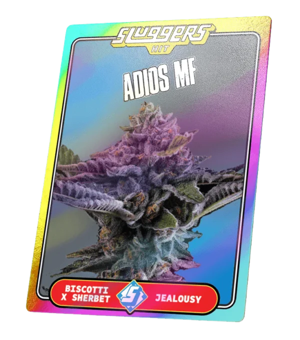 Adios MF - Image 4