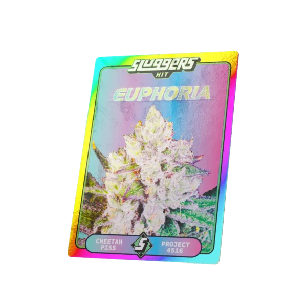Euphoria - Image 5