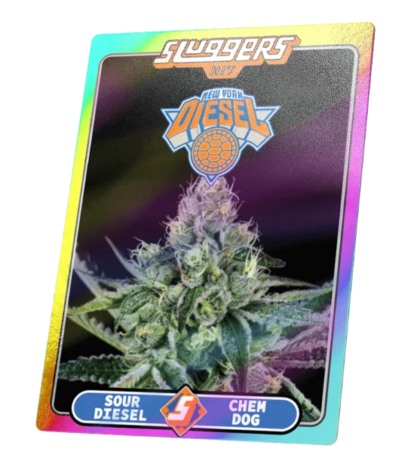 NYC Diesel - Image 5