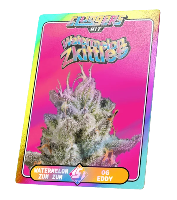 Watermelon Zkittles - Image 4