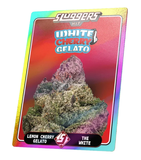 White Cherry Gelato - Image 4